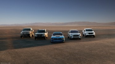 Freedom of Choice Campaign